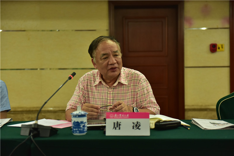 廣西歷史學(xué)會會長、廣西師范大學(xué)歷史文化與旅游學(xué)院教授唐凌發(fā)言（郭倩 攝）.JPG